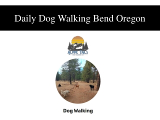 Daily Dog Walking Bend Oregon