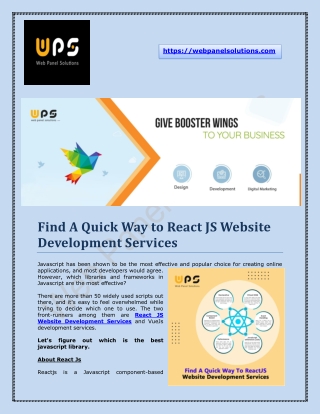 React JS & Vue JS Website Development Services - Web Panel Solutions