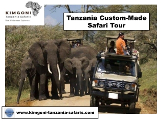 Tanzania Custom-Made Safari Tour