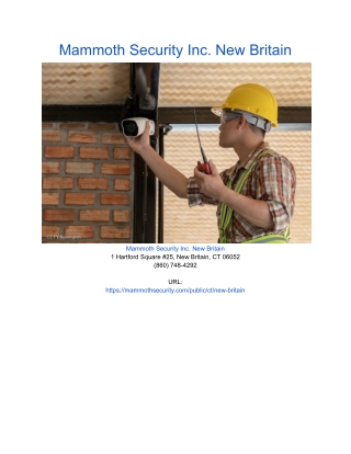 Mammoth Security Inc (1)