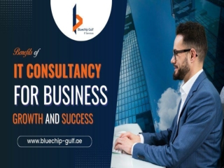 Benefits of It Consultancy for Business Growth and Success