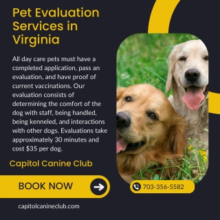 Pet Evaluation Services in Virginia