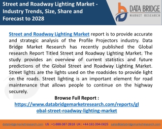 Street and Roadway Lighting Market