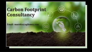 Carbon Footprint Consulting Services