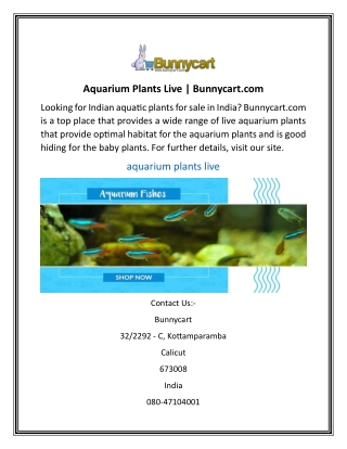 Aquarium Plants Live | Bunnycart.com