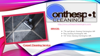 Carpet Cleaning Service