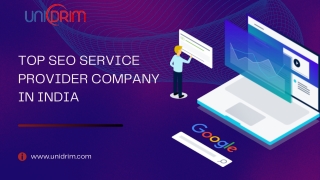 Top SEO Service Provider Company in India