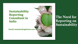 The Need for Reporting on Sustainability