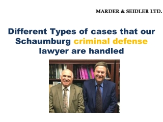 Different Types of cases that our Schaumburg criminal defense lawyer are handled- Marder and Seidler