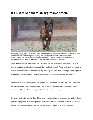 Is a Dutch Shepherd an aggressive breed?