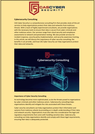 Cybersecurity Consulting Services