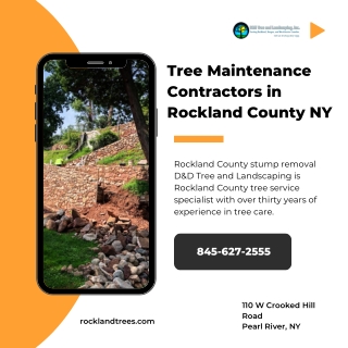 Tree Maintenance Contractors in Rockland County NY