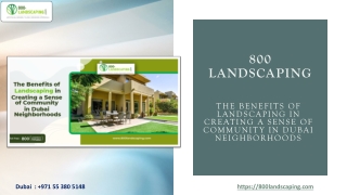 The Benefits of Landscaping in Creating a Sense of Community in Dubai Neighborhoods