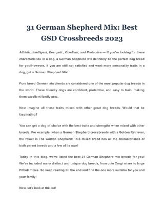 31 German Shepherd Mix Best GSD Crossbreeds 2023