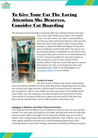 To Give Your Cat The Loving Attention She Deserves, Consider Cat Boarding