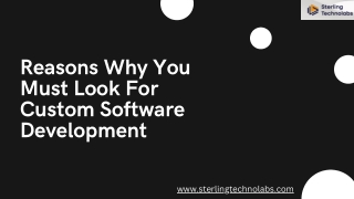 Reasons Why You Must Look For Custom Software Development