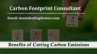 Benefits of Cutting Carbon Emissions