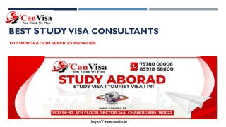Best Consultants In Chandigarh