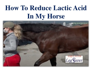 How To Reduce Lactic Acid In My Horse