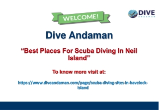 Best Places For Scuba Diving in Neil Island