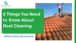 5 Things You Need to Know About Roof Cleaning