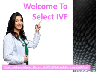 ivf cost in bangalore