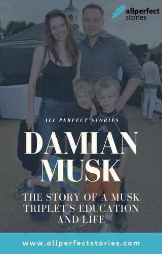 The Musk Triplets: Damian Musk's Education and Life Story Revealed