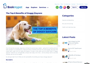 8 Benefits of Doggy Daycare