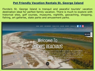 Pet Friendly Vacation Rentals St. George Island