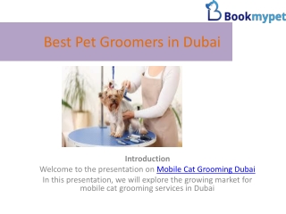 Mobile Pet Grooming in Dubai