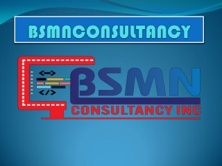 Bsmnconsultancy