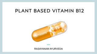 Plant Based vitamin b12