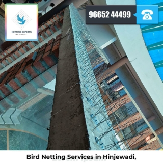 Bird Netting Services in Hinjewadi - Netting Experts