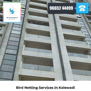 Bird Netting Services in Kalewadi - Netting Experts