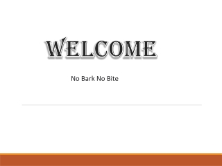 No Bark No Bite