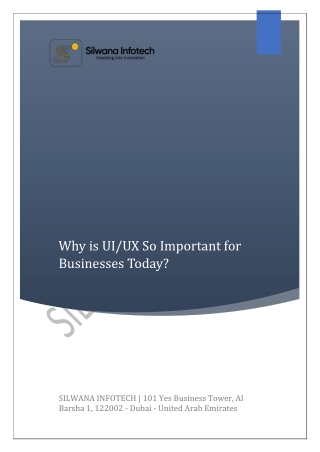 Silwana Infotech Why is UI UX So Important for Buinesses Today