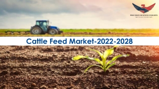 Cattle Feed Market Size, Share, Analysis 2022