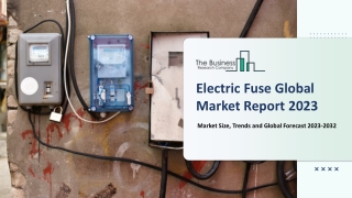 Electric Fuse Market