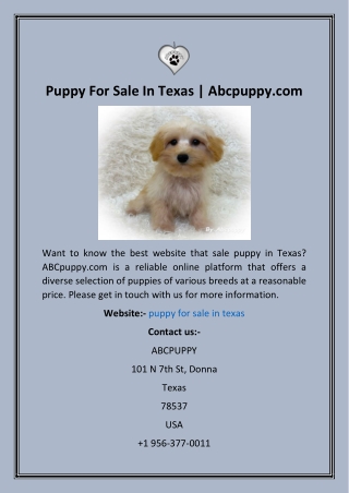 Puppy For Sale In Texas  Abcpuppy