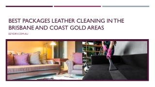 Best packages Leather Cleaning in the Brisbane and Gold Coast areas