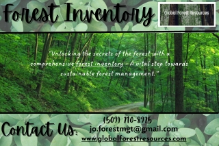 Forest inventory