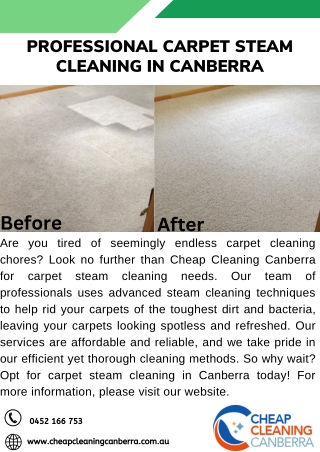 Professional Carpet Steam Cleaning in Canberra