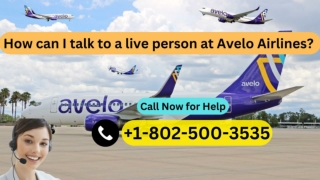 How Do I Contact Avelo Air?