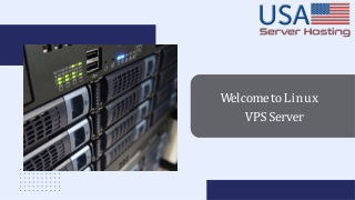 Affordable Linux VPS Servers for High-Performance Websites - USA Server Hosting