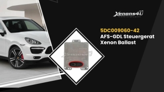 Hella 5DC009060-42 Xenon Ballast