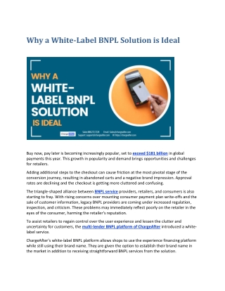 Why a White-Label BNPL Solution is Ideal