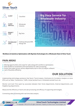 Case Study on Big Data Service for Wholesale Industry - Silver Touch Technologie