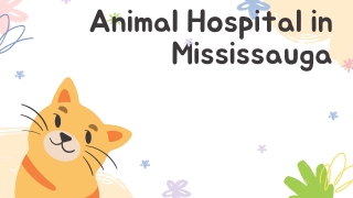 Animal Hospital in Mississauga