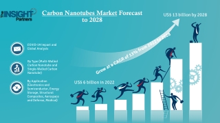 Carbon Nanotubes Market Growth Strategies, Industry Landscape Overview by 2028
