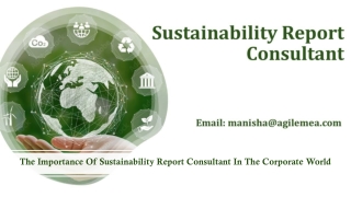 The Importance Of Sustainability Report Consultant In The Corporate World